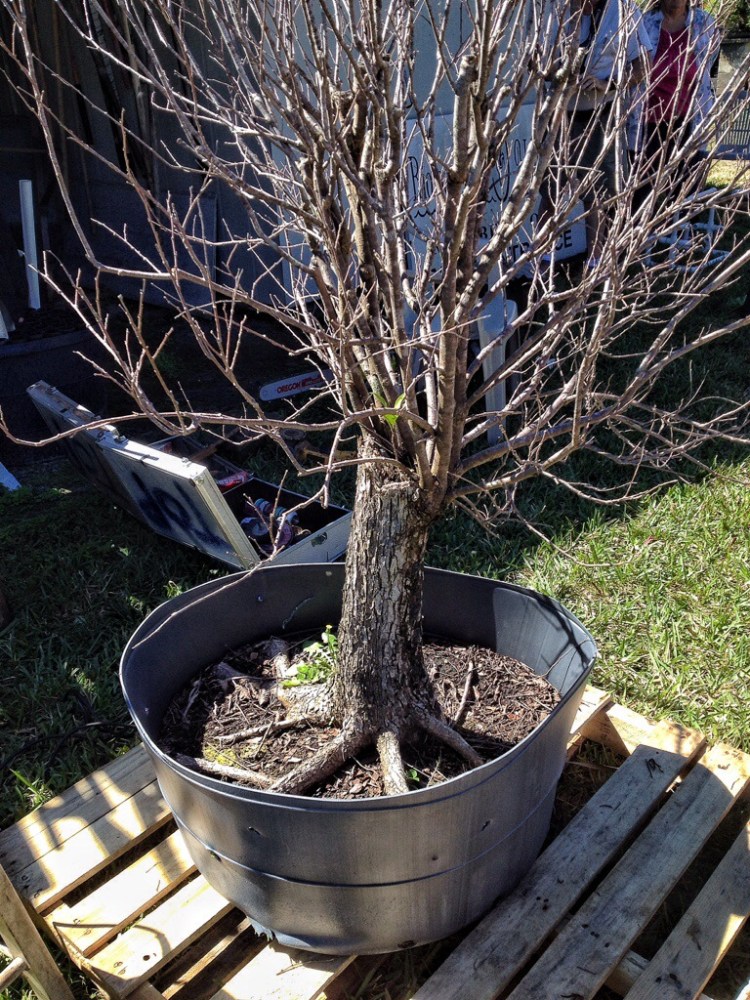 20140302-104759.jpg