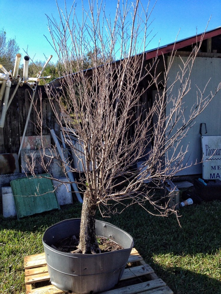 20140302-104917.jpg