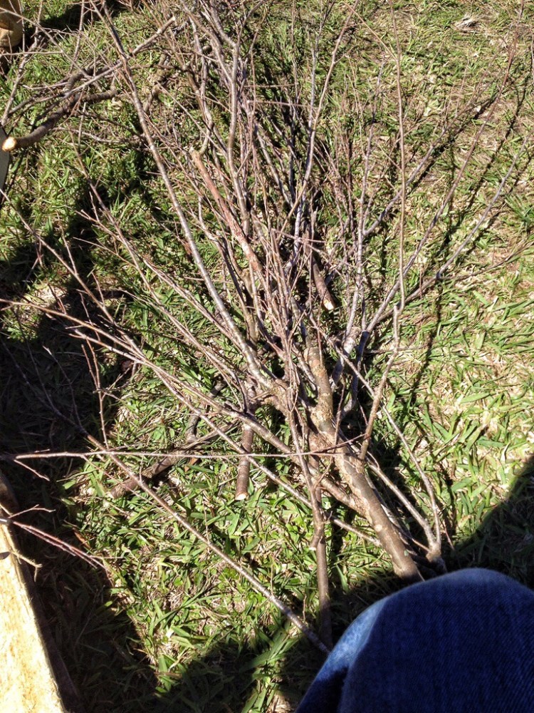 20140303-085439.jpg