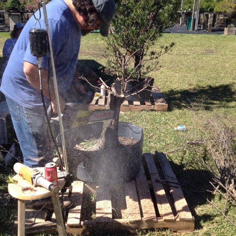 20140303-091620.jpg