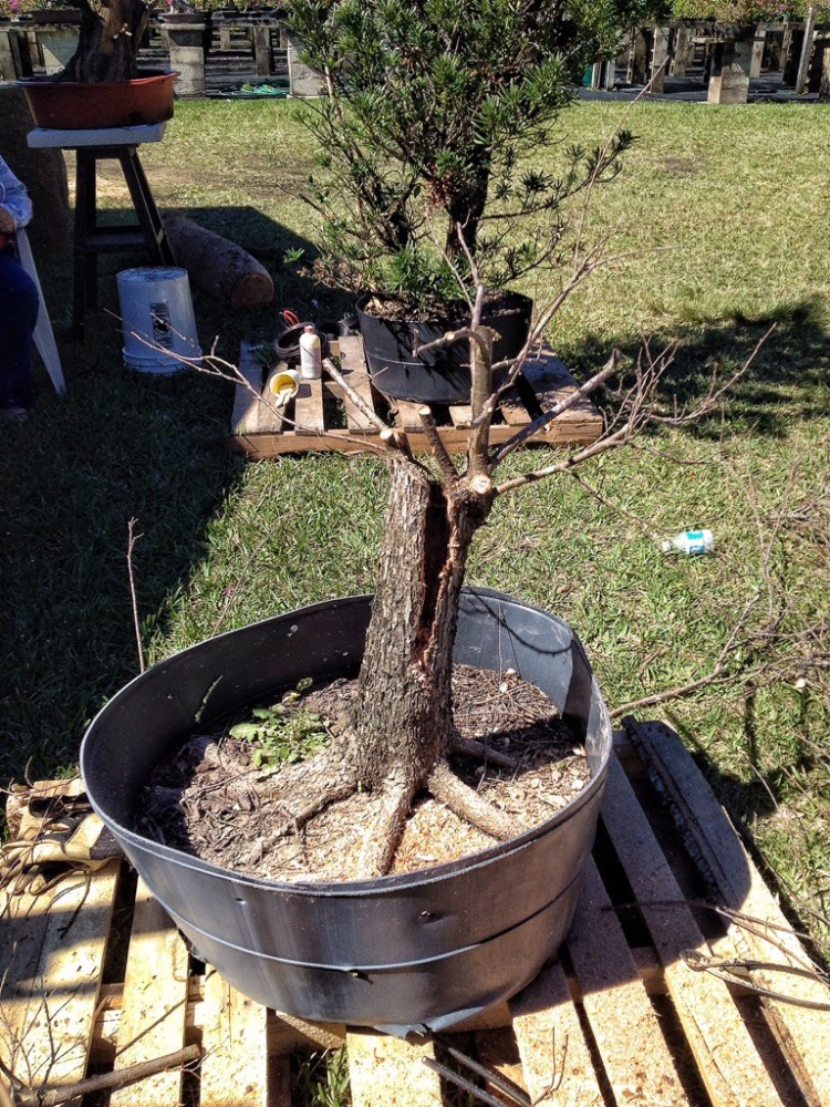 20140303-092138.jpg