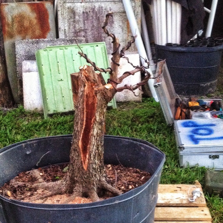 20140303-095005.jpg