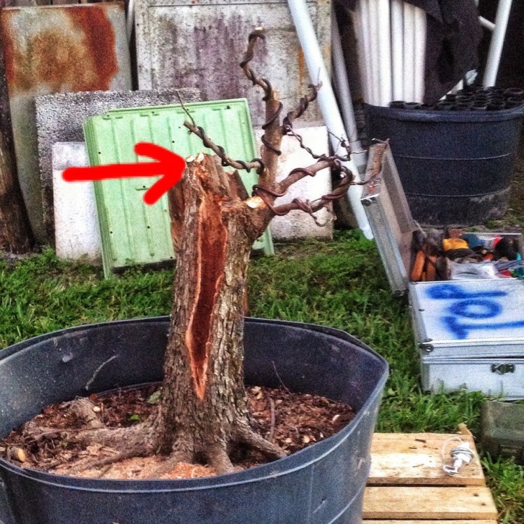 20140303-100121.jpg