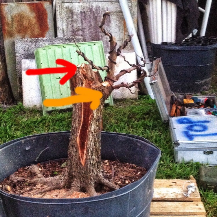 20140303-100339.jpg