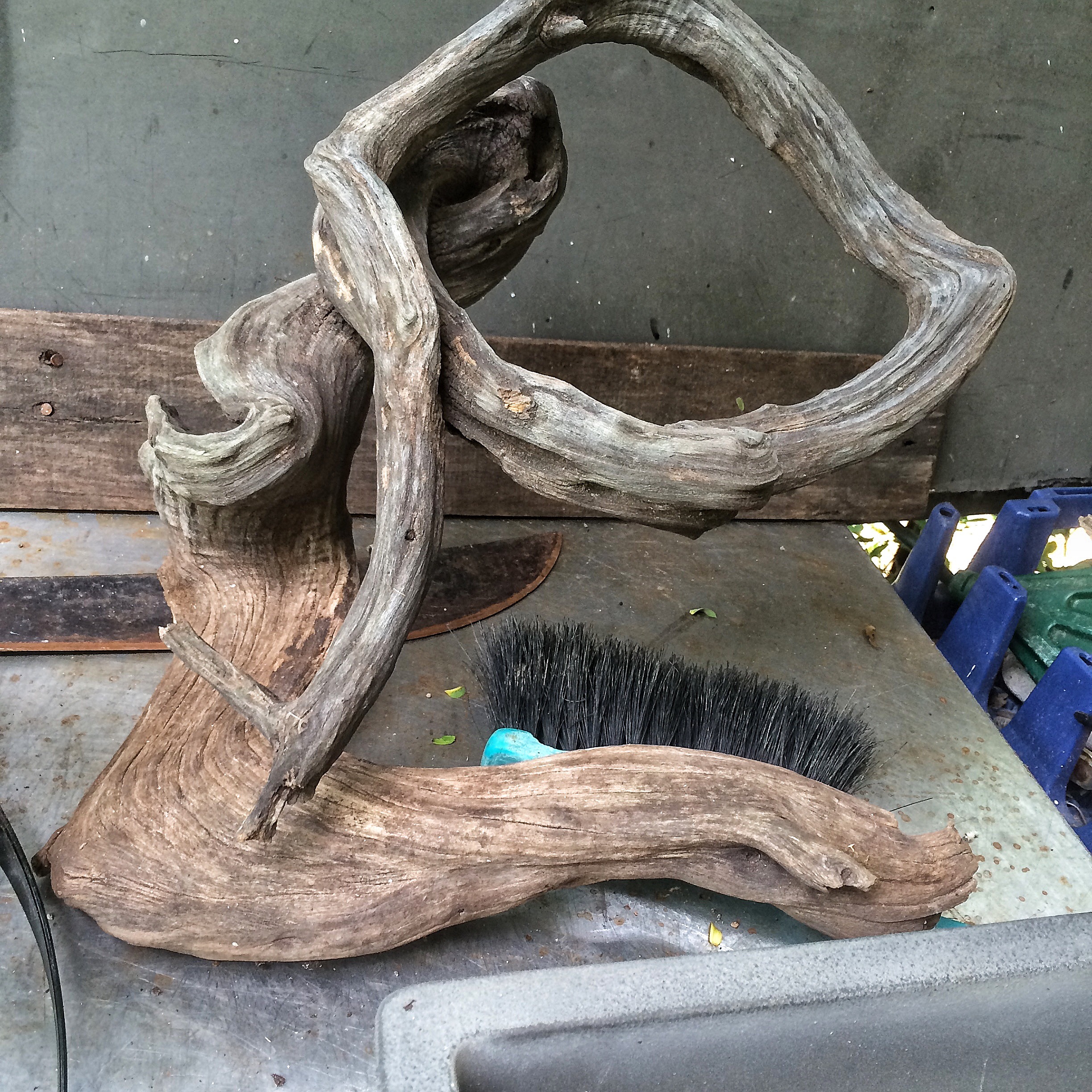 There's something not quite right here…..is it bonsai? Art