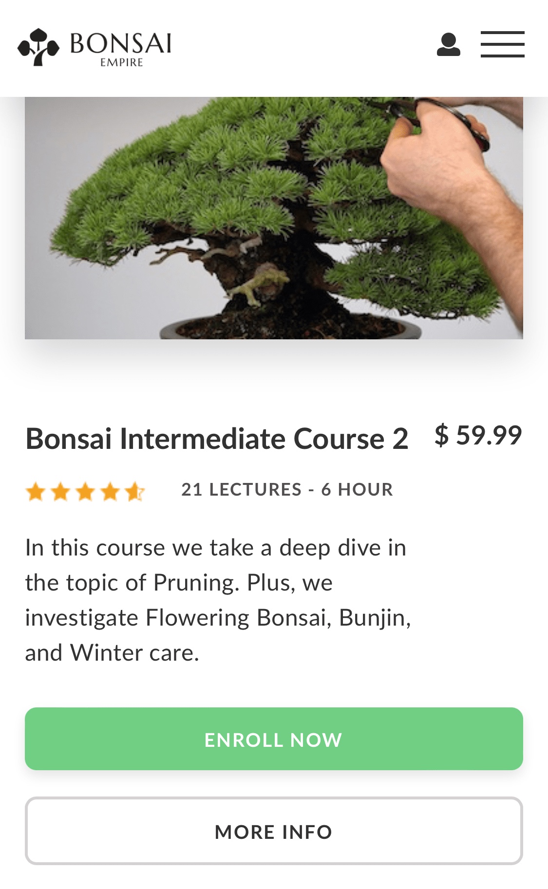 Bonsai Empire Intermediate Course 2: a review  Adam's Art and Bonsai Blog